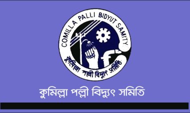 বিদ্যুৎ উপদেষ্টার হস্তক্ষেপ চান পল্লী বিদ্যুৎ সমিতি