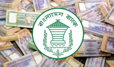 ধার দিয়েই আয় ৪০ হাজার কোটি টাকা কেন্দ্রীয় ব্যাংকের