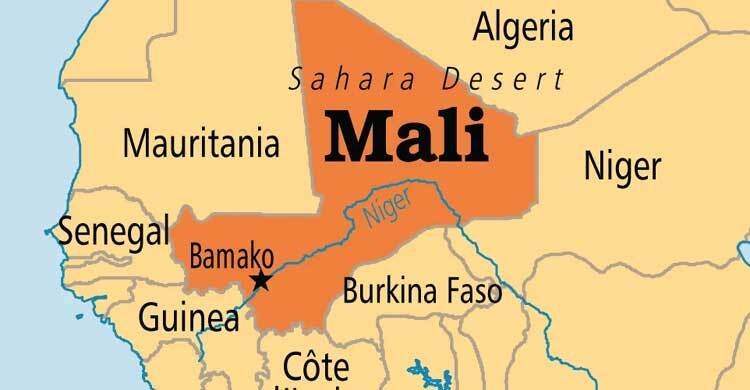 মালিতে ড্রোন হামলায় ১৫ বেসামরিক নাগরিক নিহত