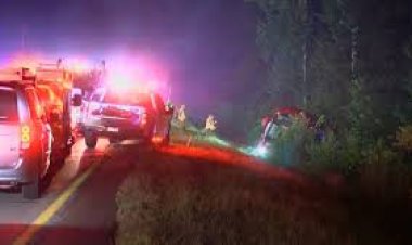 যুক্তরাষ্ট্রে বাস উল্টে শিশুসহ নিহত ৭, আহত আরও ৩৭