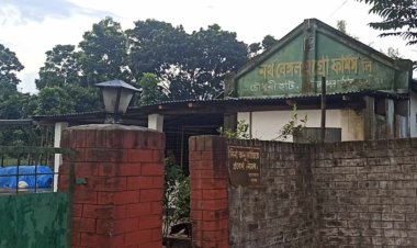 ঠাকুরগাঁওয়ে দখলকৃত জমিতে সাবেক পররাষ্ট্র প্রতিমন্ত্রীর বাগান বাড়ি