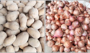  দাম কমাতে আলু-পেঁয়াজে শুল্ক কমালো সরকার