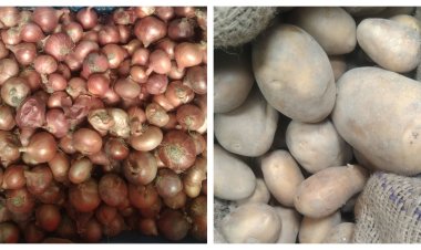 শুল্ক কমলেও সেই বাড়তি দামেই বিক্রি হচ্ছে আলু-পেঁয়াজ