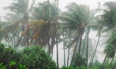  বজ্রবৃষ্টিসহ ঝোড়ো হাওয়া বইতে পারে দেশের ৮ অঞ্চলে