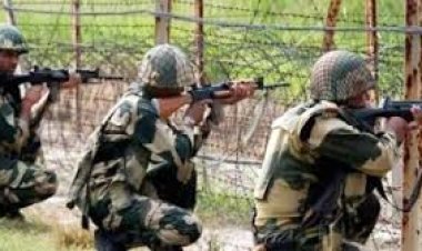 ঠাকুরগাঁওয়ে বিএসএফের গুলিতে নিহত ১, আহত ২