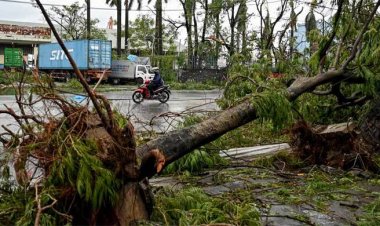  ভিয়েতনামে সুপার টাইফুনের আঘাতে নিহত বেড়ে ৫৯