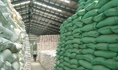 আওয়ামী সরকারের ৪ প্রকল্প গলার কাঁটা