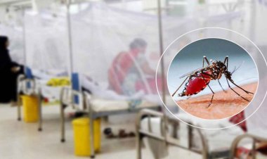 ডেঙ্গুতে আরও ২ মৃত্যু, আক্রান্ত ২৬ হাজার ছাড়াল