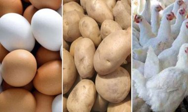 কমেনি ডিম পেঁয়াজ আলুর দাম, মুরগির বাজারে আগুন