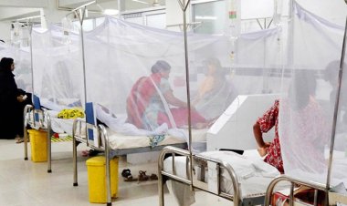 ডেঙ্গুতে সেপ্টেম্বরে ৮০ প্রাণহানি, হাসপাতালে ভর্তি ১৮,০৯৭ জন