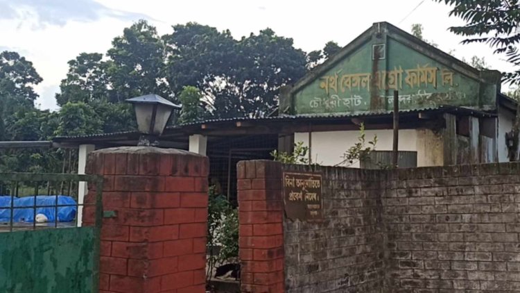 ঠাকুরগাঁওয়ে দখলকৃত জমিতে সাবেক পররাষ্ট্র প্রতিমন্ত্রীর বাগান বাড়ি