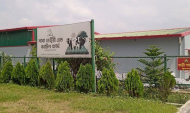 নাবিল গ্রুপ: সরকারি জমি দখলে নিয়ে করেছে ডেইরি ফার্ম