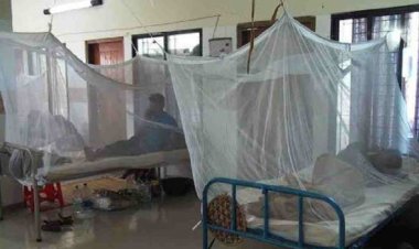 ডেঙ্গুতে ২৪ ঘণ্টায় ৩ মৃত্যু, হাসপাতালে ১১৪৪