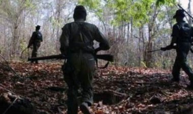 ভারতে নিরাপত্তা বাহিনীর গুলিতে ৩৬ মাওবাদী নিহত