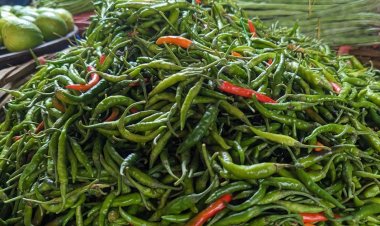 ৪০০ টাকা ছাড়ালো কাঁচা মরিচের দাম