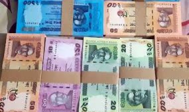 টাকার নতুন নকশায় বাদ পড়তে পারে শেখ মুজিবুর রহমানের ছবি