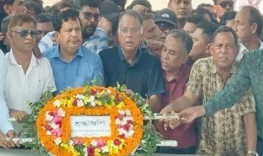 দেশে ফিরলেন ইকবাল হাসান মাহমুদ টুকু