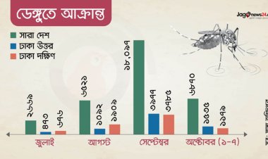  ঢাকায় ভেঙে পড়েছে মশক নিধন কার্যক্রম, ডেঙ্গুতে বাড়ছে মৃত্যু   