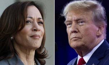 মার্কিন নির্বাচনী দৌড়ে এগিয়ে কমালা হ্যারিস