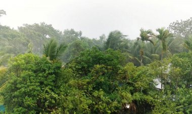 ঝোড়ো বৃষ্টি হতে পারে ৬ অঞ্চলে, সমুদ্রবন্দরে ৩ নম্বর সতর্ক সংকেত