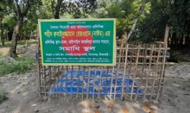 পুলিশের গুলিতে শহীদ নাঈম: খুনের বিচার দেখে যেতে চান বাবা-মা