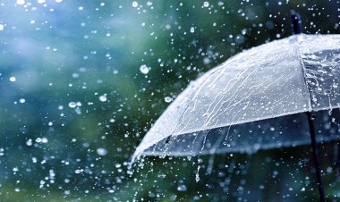 দুই বিভাগে গুঁড়ি গুঁড়ি বৃষ্টির সম্ভাবনা