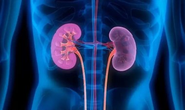 দীর্ঘস্থায়ী কিডনি রোগে ভুগছে দেশের আড়াই লাখ শিশু