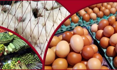 দাম কমেছে সব ধরনের সবজির, চড়া দামে বিক্রি হচ্ছে শাক