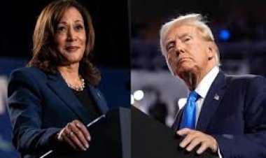 ভোটের আগে সমাপনী বক্তব্যে কী বললেন কমলা ও ট্রাম্প