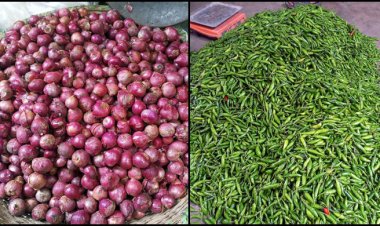  কাঁচামরিচের কেজি ১০০, পেঁয়াজ ১৪০