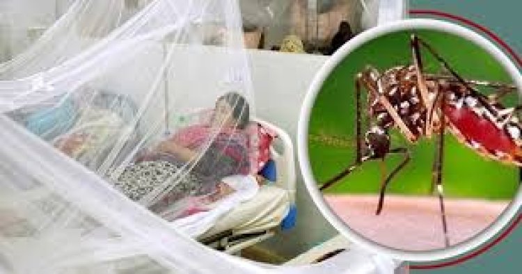 ডেঙ্গুতে ২৪ ঘণ্টায় ৮ মৃত্যু