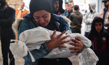  গাজায় ৪৮ ঘণ্টায় ৫০ জনের বেশি শিশুকে হত্যা করেছে ইসরায়েল