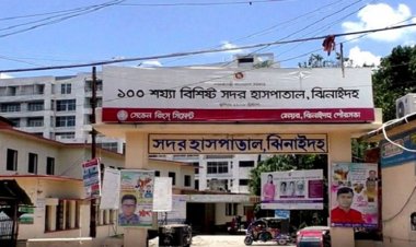 ঝিনাইদহে দুই আলমসাধুর সংঘর্ষে চালক নিহত