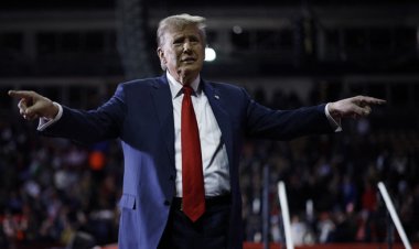  মার্কিন প্রেসিডেন্ট নির্বাচন দোদুল্যমান বেশিরভাগ রাজ্যেই এগিয়ে ট্রাম্প