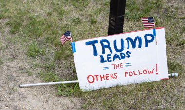  মার্কিন প্রেসিডেন্ট নির্বাচন ট্রাম্পের ২০০ পার, কমলা ১৫৩