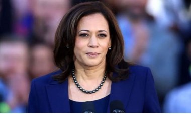 প্রেসিডেন্ট নির্বাচনে কমলার হারের নেপথ্যে