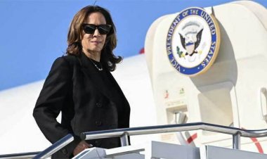  নির্বাচনে কেন হারলেন কমলা হ্যারিস