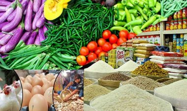 সরকারের সুবিধা চলে যাচ্ছে ব্যবসায়ীদের পকেটে