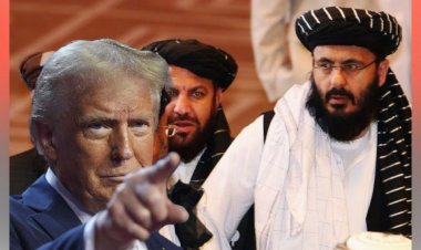 ট্রাম্পের ওপর আশাবাদী তালেবান, কেন?