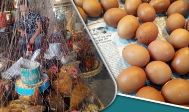  পেঁয়াজ-মুরগি-সবজিতে কিছুটা স্বস্তি, সর্বোচ্চ দামে আলু