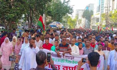 বর্ণাঢ্য মিছিল নিয়ে র‍্যালিতে বিএনপির নেতা-কর্মীরা