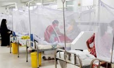 ডেঙ্গুতে আরও ৫ জনের মৃত্যু