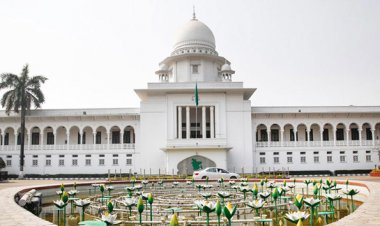 বেক্সিমকো ফার্মায় বসছে না রিসিভার: আপিল বিভাগ