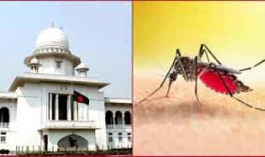 ডেঙ্গু নিয়ন্ত্রণে কার্যকর পদক্ষেপ গ্রহণের নির্দেশ হাইকোর্টের