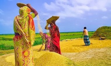 আজ পহেলা অগ্রহায়ণ, নবান্ন উৎসব