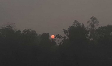 দিন ও রাতের তাপমাত্রা আরো কমবে