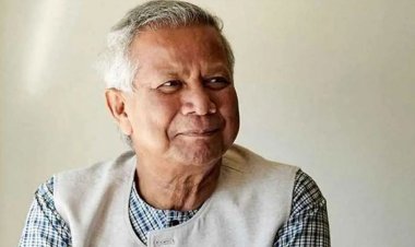 সব দলকে নির্বাচনে চেয়েছে বিএনপি: প্রধান উপদেষ্টা