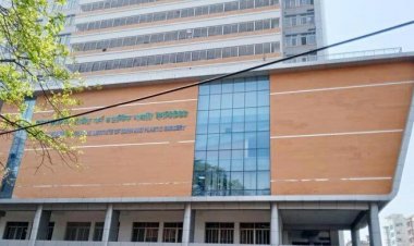  মিরপুরে গ্যাস সিলিন্ডার বিস্ফোরণে শিশুসহ দগ্ধ ৭