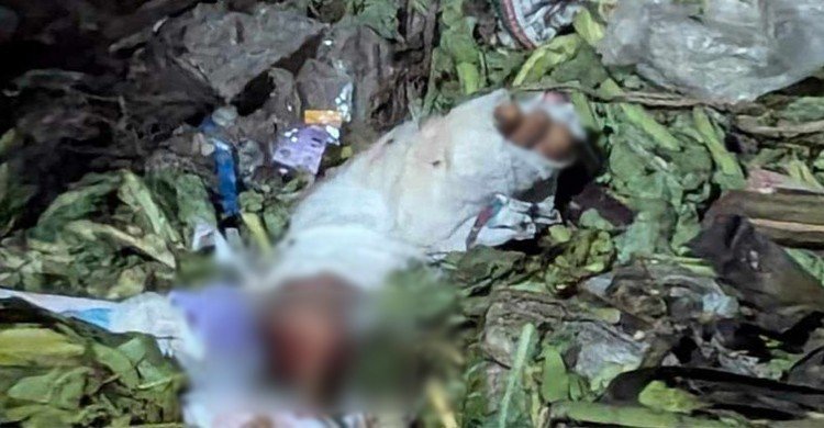 মোহাম্মদপুরে ডাস্টবিনে পড়ে আছে মানুষের খণ্ডিত পা