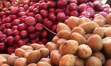 বাজারে নতুন পেঁয়াজে কমছে দাম, এখনো চড়া আলু